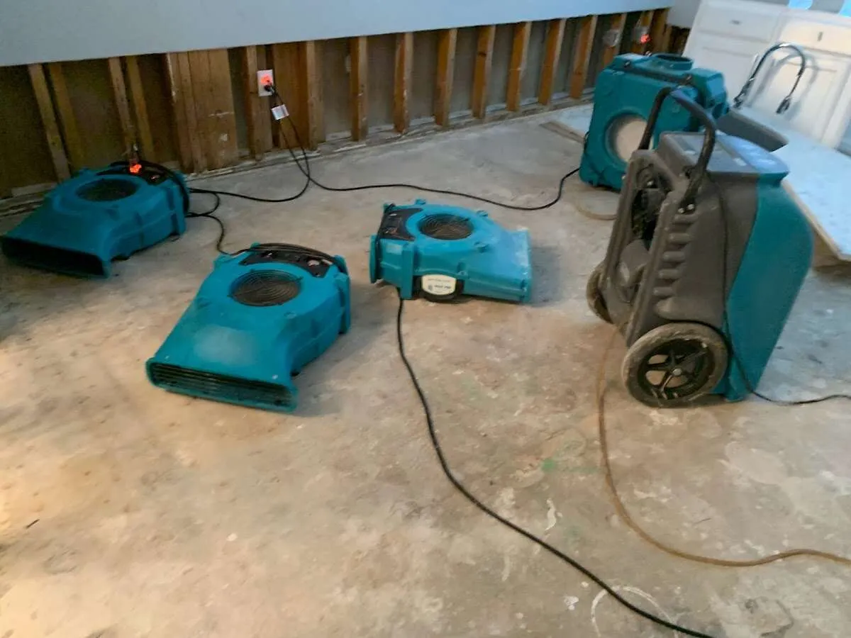 Odor Removal & Deodorization in Patterson, CA